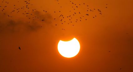 ¿Te perdiste el eclipse solar parcial? Estas son las mejores imágenes del evento