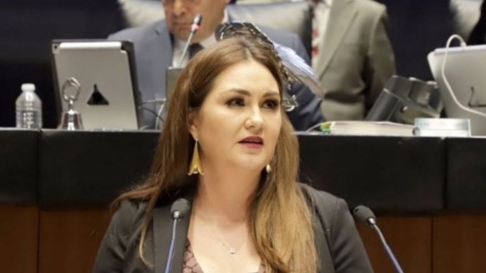 La coordinadora del PT en el Senado, Geovanna Bañuelos.
