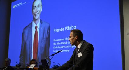 El sueco Svante Pääbo gana el Premio Nobel de Medicina