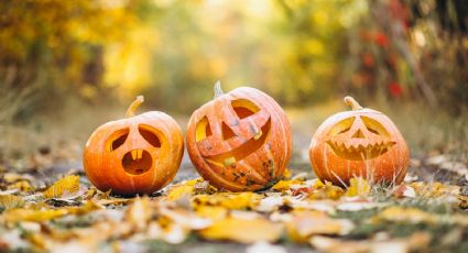 Halloween y las calabazas ¿Por qué son tan importantes en esta fecha?