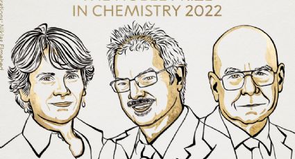 Premio Nobel de Química 2022 para Carolyn Bertozzi, Morten Meldal y K.Barry