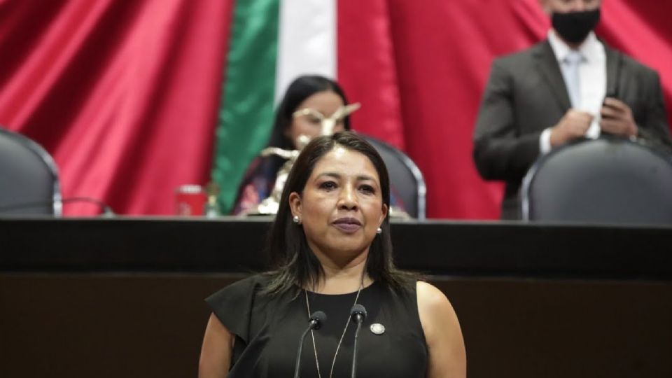 Erika Díaz, diputada del PAN