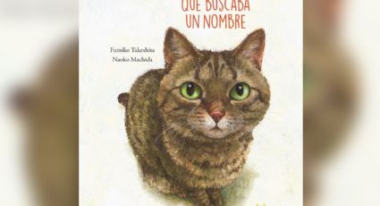 'El gato que buscaba un nombre' y más recomendaciones del Club de Lectura