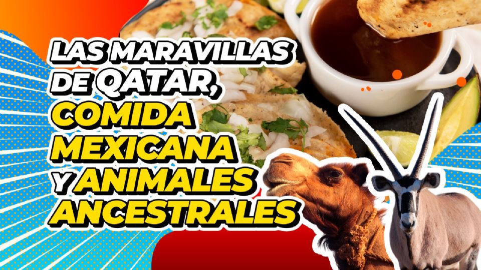 Así puedes encontrar comida mexicana en Qatar y conocer los animales más importantes del país