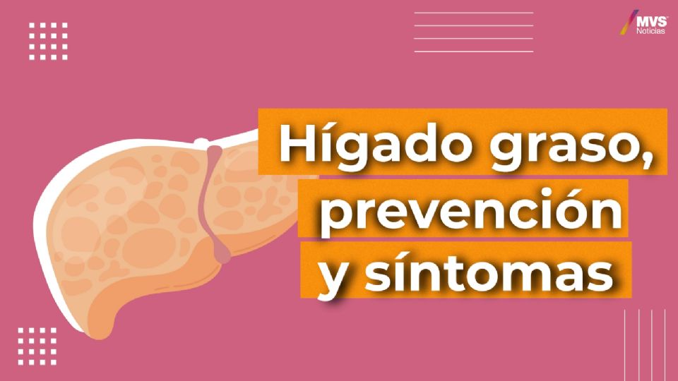 Hígado graso: ¿Cómo prevenirlo?
