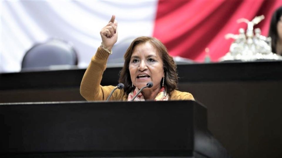 Margarita García, diputada federal del PT.