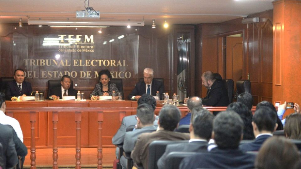 Tribunal Electoral del Estado de México (TEEM).