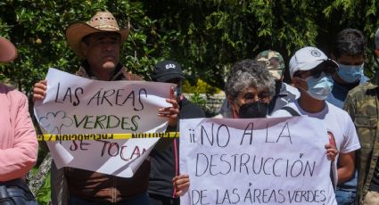 Reforma que endurece penas contra tala ilegal será enviada por el Senado a San Lázaro