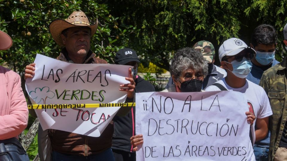 Reforma que endurece penas contra tala ilegal será enviada por el Senado a San Lázaro.