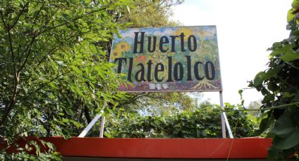 Peter Gabriel / Huerto Tlatelolco