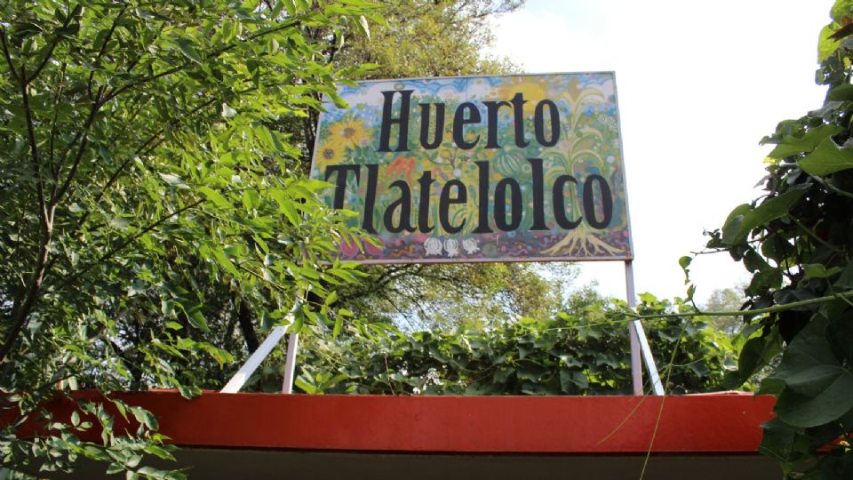 Huerto Tlatelolco / Ilustración