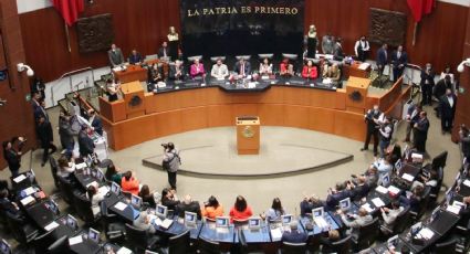 Senado designa a Andrea Marván Saltiel como presidenta de la Cofece