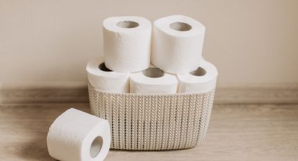 Rollos de papel higiénico: Conoce cómo puedes reutilizarlo en casa