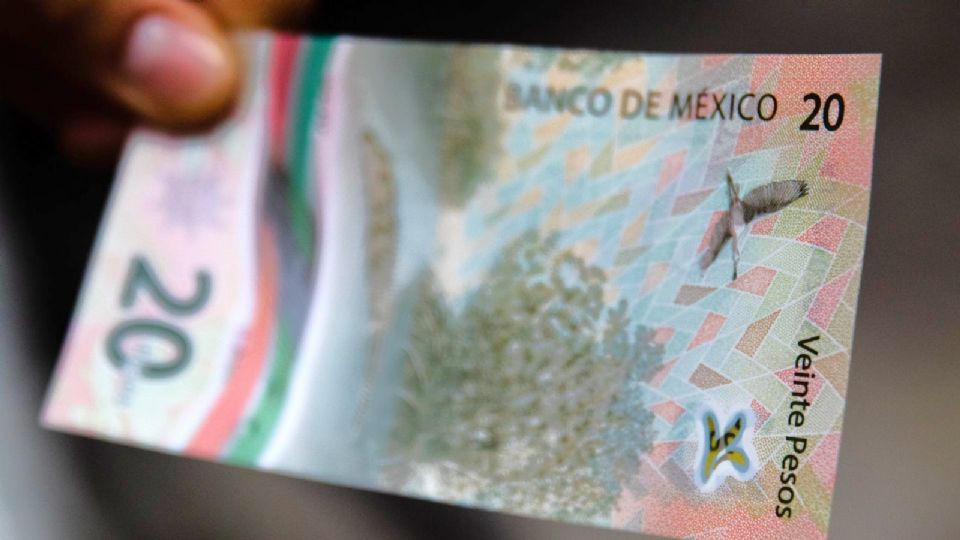 Además de sus increíbles imágenes, este billete tiene más características que le dan valor.