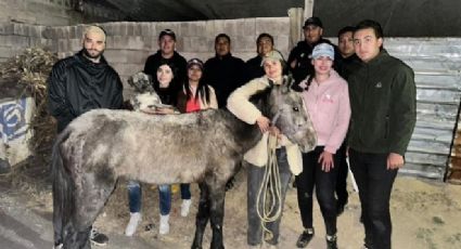 Momento exacto en que un hombre maltrata a un caballo en Chalco: VIDEO