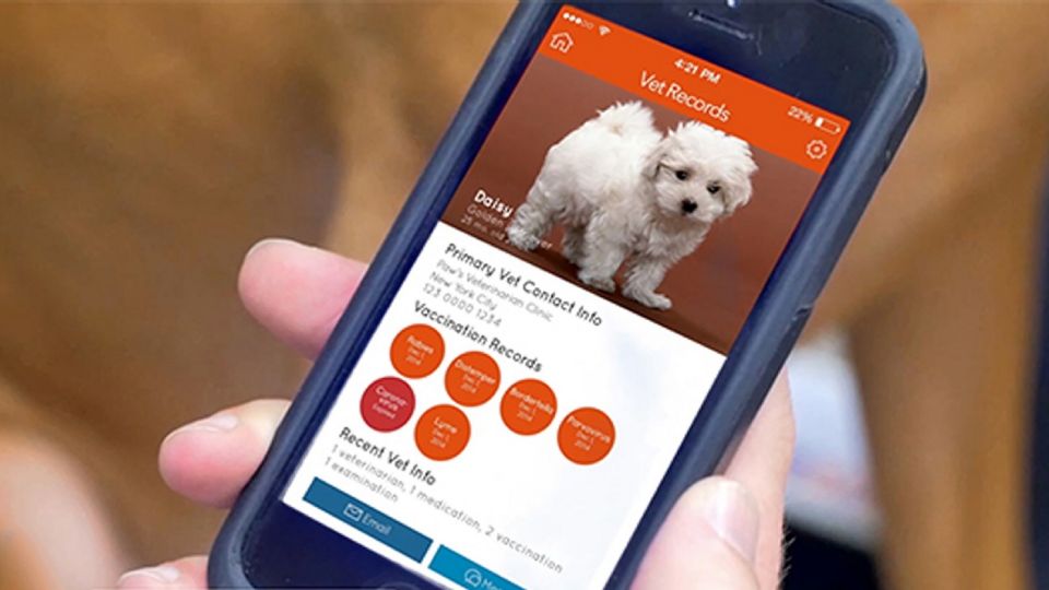 Con este collar y app podrás saber más de tu perro.