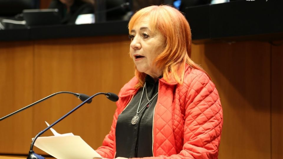 Rosario Piedra, presidenta de la CNDH.