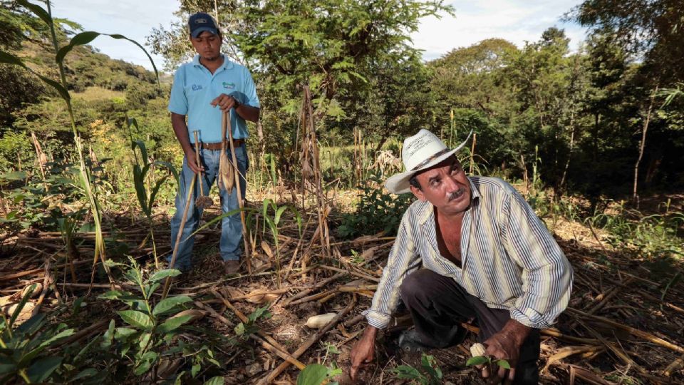 Llama Agricultura a conjuntar esfuerzos para restaurar los suelos del país