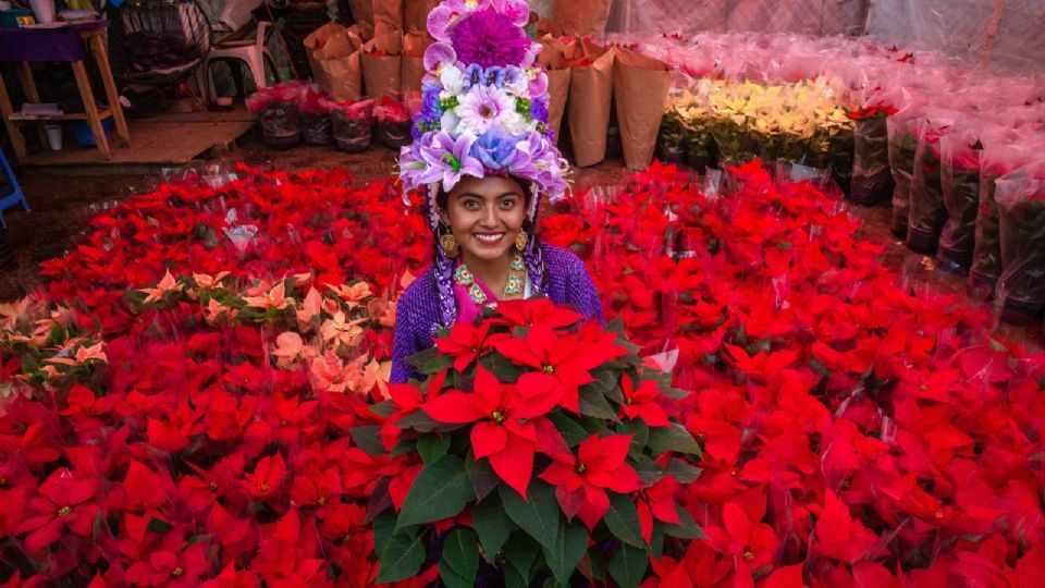 Locatarios de “El Palacio de la Flor” comenzaron la venta de las distintas variedades de Cuetlaxochitl, o Flor de nochebuena.