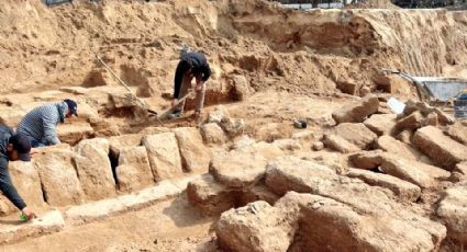 ¡Impresionante! Descubren cementerio romano de 2 mil años de antigüedad en Franja de Gaza