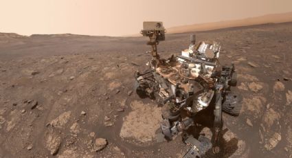 Róver Curiosity de la NASA capta insólita figura en Marte… ¿Una pequeña flor, o un coral?