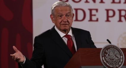 Al presidente López Obrador no le gustan los organismos autónomos: Irene Levy