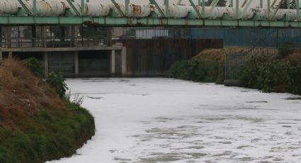 ¿Monstruo de aguas negras? Captan extraño animal nadando en acueducto del Edomex