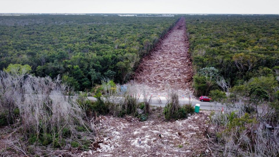 Un juez otorga un suspensión definitiva a las obras del Tramo 5 del Tren Maya.