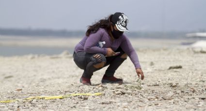 Activistas exigen a las autoridades de Nuevo León acciones para encontrar a desaparecidas