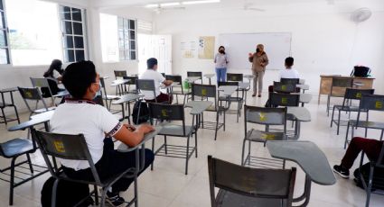 UNPF: Experimentos educativos del Gobierno generaron rezago en el aprendizaje