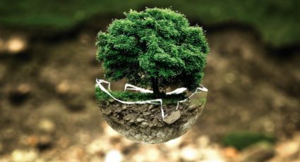 Día Mundial de la Tierra: 5 sencillas formas de cuidar el medio ambiente