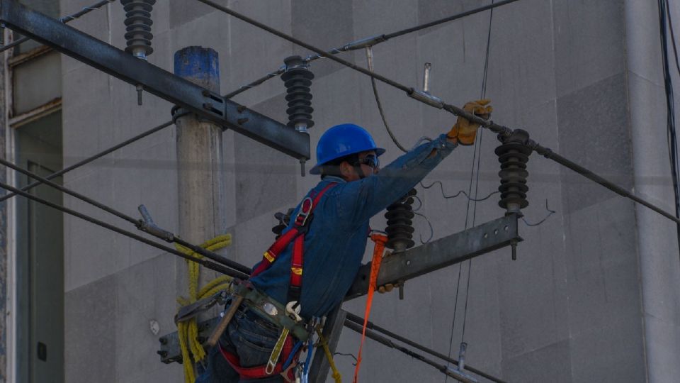 PVEM tuvo dos bajas a causa de la reforma eléctrica