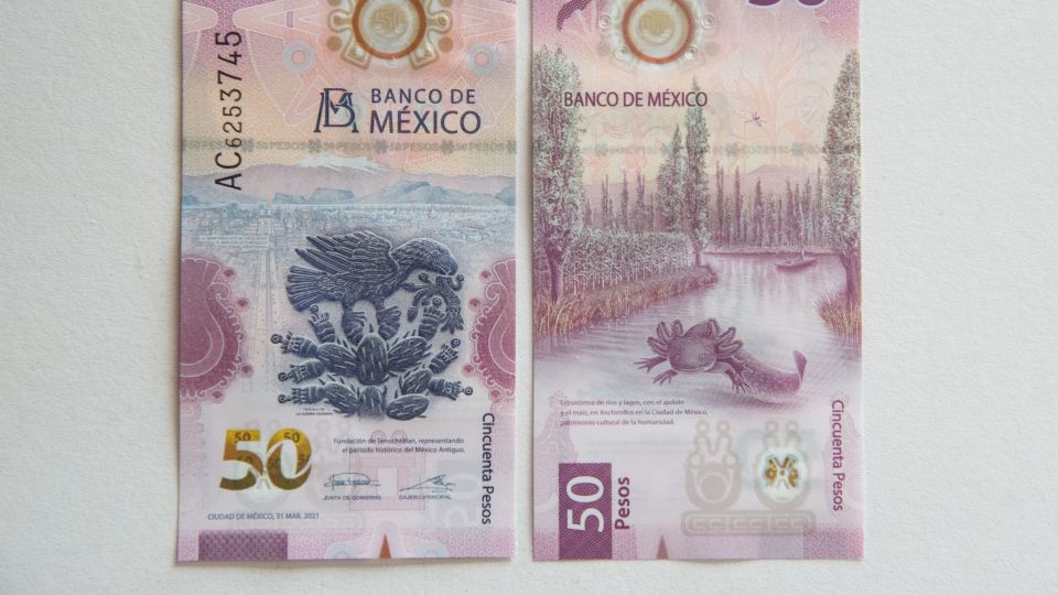 Hay un billete de 50 pesos del ajolote por el que piden ¡7 millones de pesos.