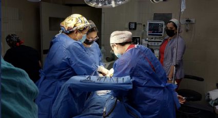 Zoé Robledo anuncia más de mil transplantes realizados en el IMSS