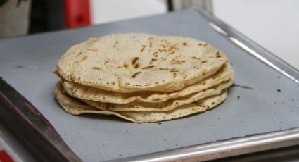 'México necesita importar el 40% del maíz destinado al consumo de tortillas'