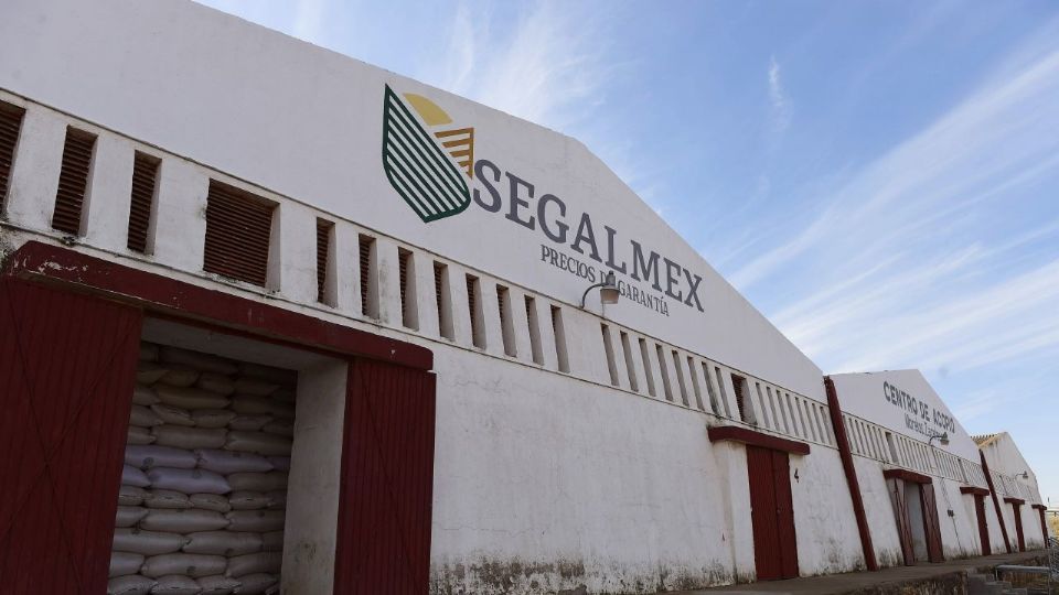 PRI en el Senado pide la comparecencia del titular de Segalmex.