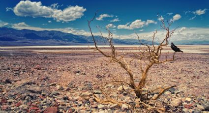 Crisis del agua, un asunto grave y preocupante: José Luis Luege