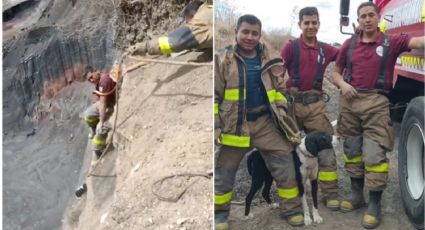 Así fue el heróico rescate de un perrito en una mina en Tecámac, Edomex: VIDEO