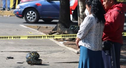 Mueren 12 personas en accidente sobre la México-Querétaro, en Polotitlán