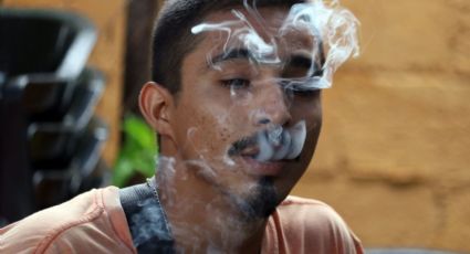Legalización del cannabis aceleró consumo diario y consecuencias a la salud: UNODC