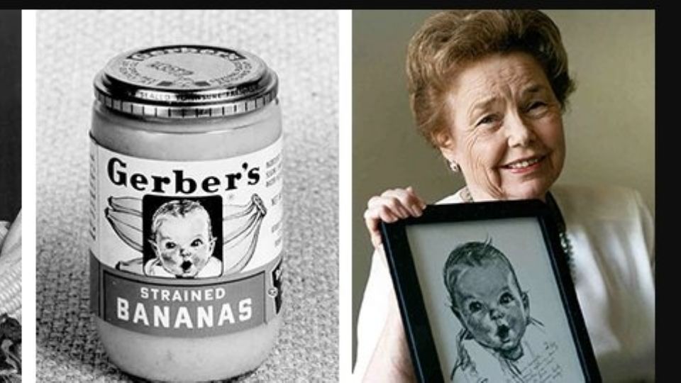 Ann Turner Cook, la famosa Bebé Gerber, falleció a los 95 años de edad en EU.