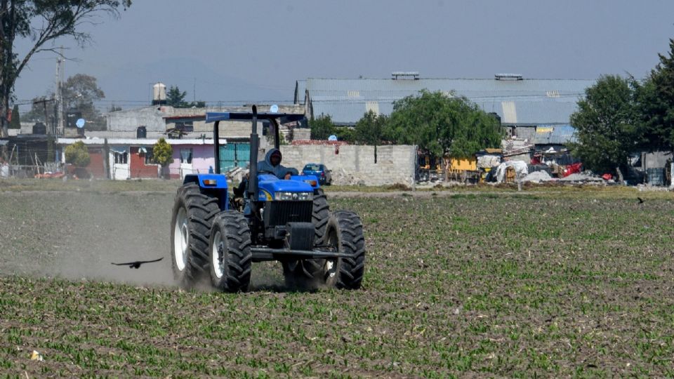 Sistemas para “cosechar agua” y paneles solares en edificios públicos, proponen