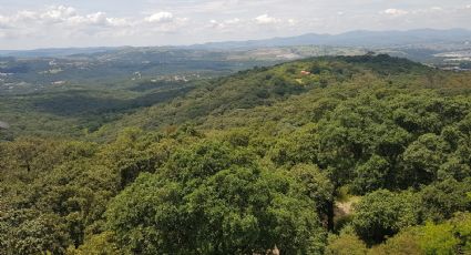 Puebla reafirma compromiso con medio  ambiente; protege 859 hectáreas más en “Flor del Bosque"