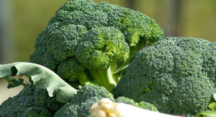 Esta sustancia química del brócoli te ayudará a sanar algunas heridas