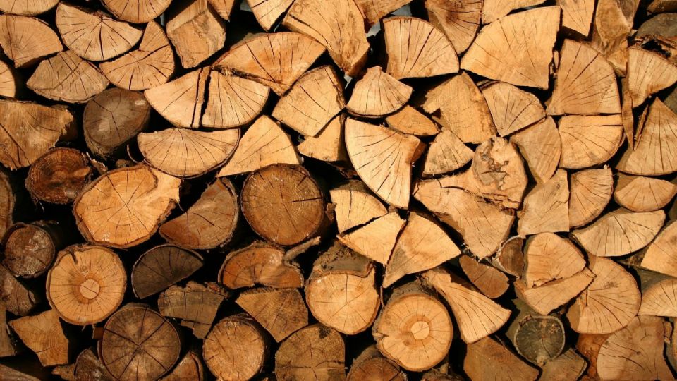 Asegura FGR aserraderos donde procesaban madera de manera ilegal.