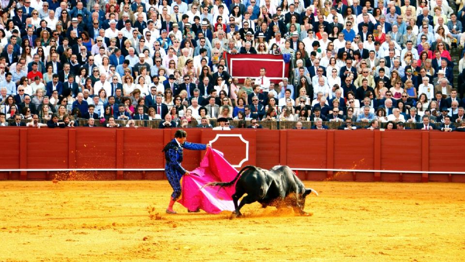 La SCJN determina que las corridas de toros vuelven a la Plaza México.