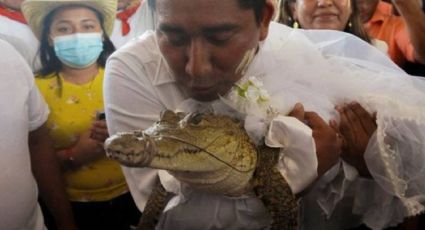 ¡De película! Alcalde se casa con un caimán en ritual para la abundancia