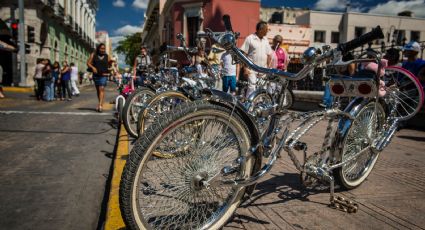 Nación Criminal: Robo de bicicletas, el negocio del crimen organizado
