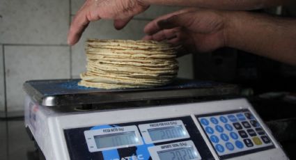 Cuáles son los factores detrás del aumento del precio de la tortilla