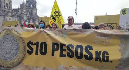 Exige PRD al gobierno de México destinar recursos para bajar precio de la tortilla